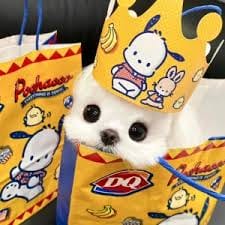 Joey de Leon avatar